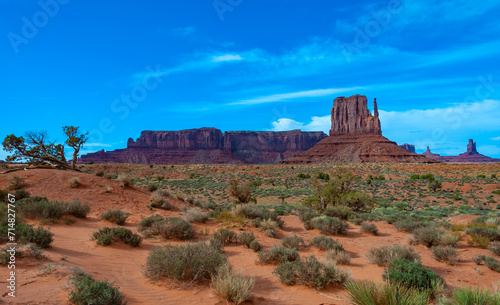 Arizona landscape, Sand dunes desert of Monument Valley, Arizona - Utah, USA