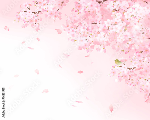 美しい薄いピンク色の桜の花と花びら春の水彩白バックフレーム背景素材ベクターイラスト