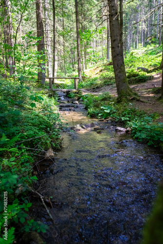  Stream in the Bavarian Forest