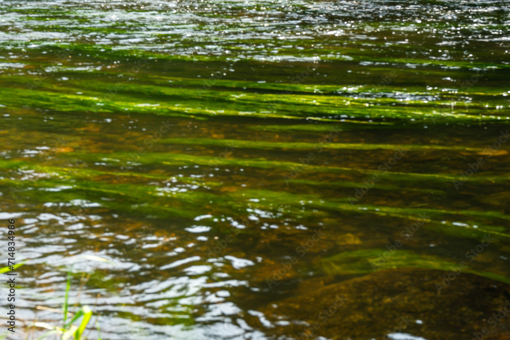River Rain Regen in the Bavarian Forest River Rain Regen in the Bavarian Forest