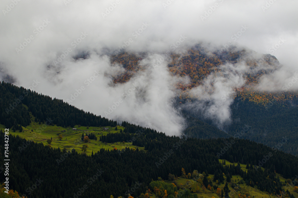 Fototapeta premium green orange yellow trees and woodland between clouds