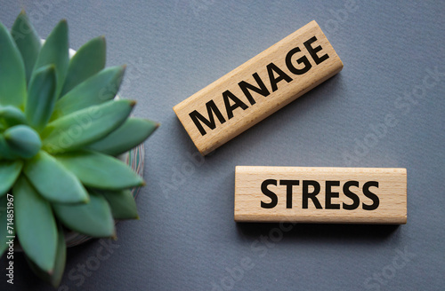 Manage stress symbol. Concept word Manage stress on wooden blocks. Beautiful grey background with succulent plant. Business and Manage stress concept. Copy space
