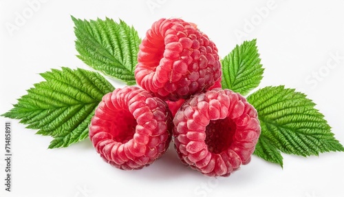 raspberry with leaves isolated on white background