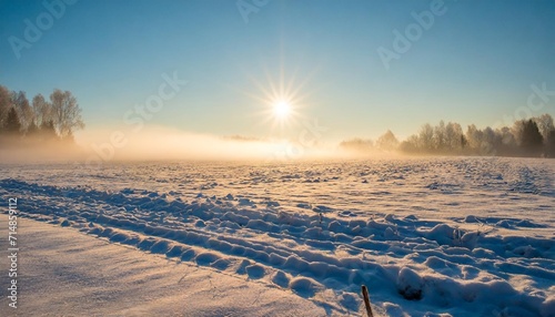 winter morning glorious scene with sun rising through the frosty fog over snowy meadow