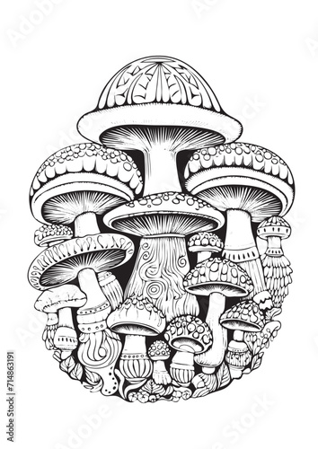 Mushrooms vector doodle illustration, coloring page for adults