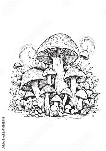 Mushrooms vector doodle illustration, coloring page for adults