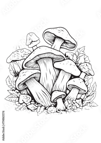 Mushrooms vector doodle illustration, coloring page for adults