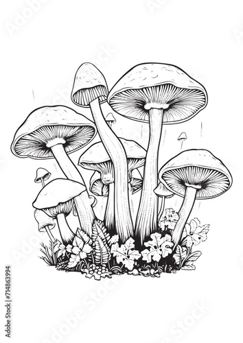 Mushrooms vector doodle illustration, coloring page for adults