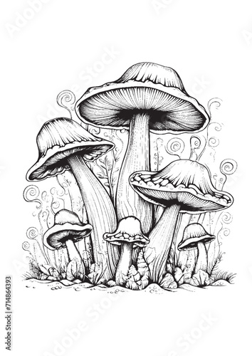 Mushrooms vector doodle illustration, coloring page for adults