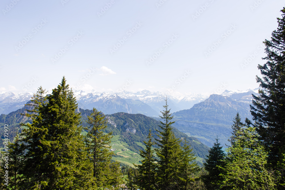 Evergreen trees and the mountains of the Swiss Alps viewed from Mount Rigi