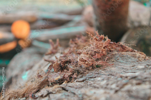 Wood shavings