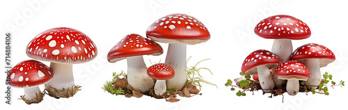 Collection of red and white mushrooms isolated on transparent or white background