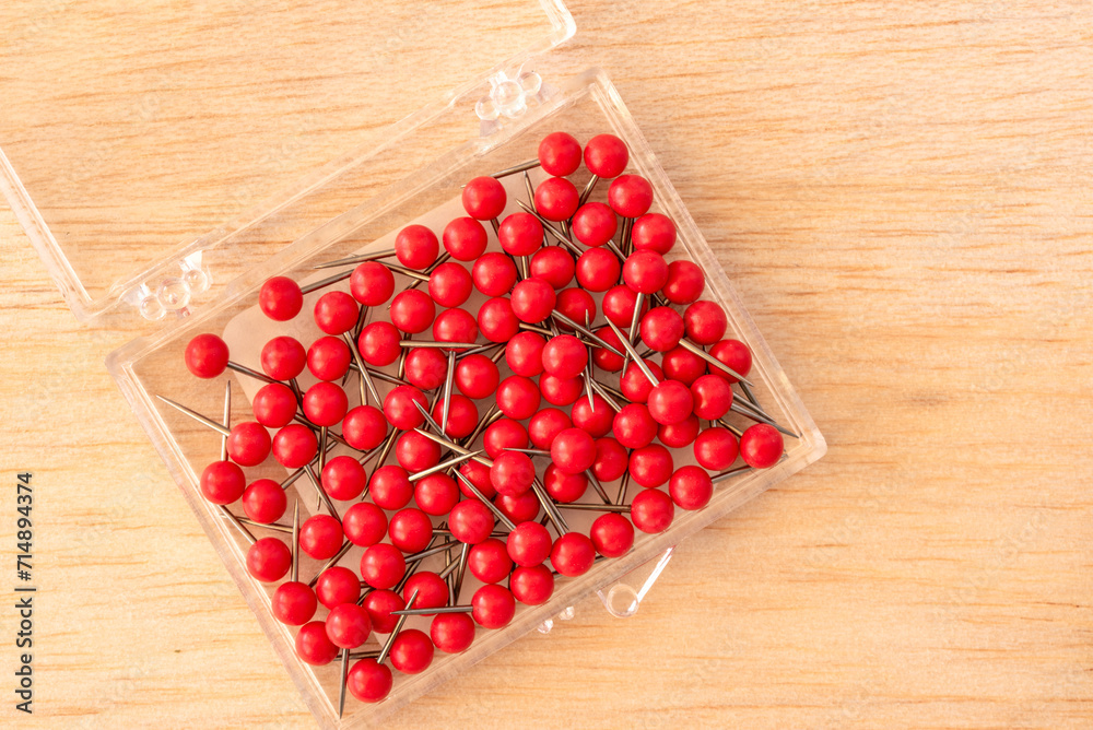 Red Pushpins in a Plastic Case Red Pushpins in a Plastic Case