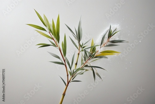 Shadowy Elegance Generative AI's Noir Botanical Bamboo Leaf Close-Up