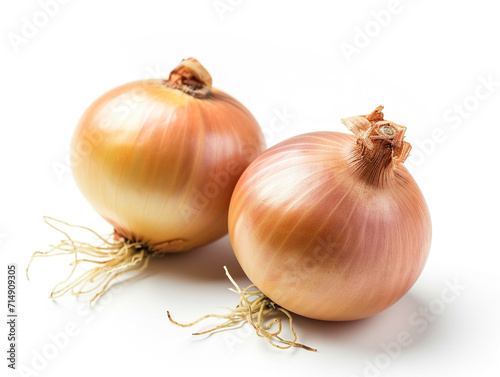 Wallpaper Mural Yellow holland onion isolated on white background in minimalist style. Torontodigital.ca