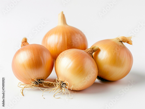Yellow holland onion isolated on white background in minimalist style.