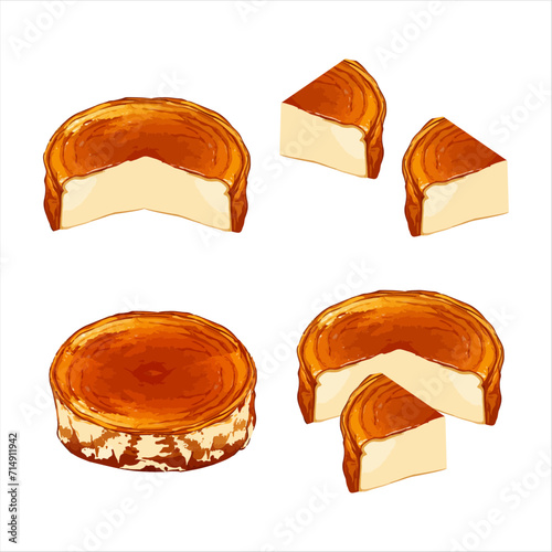 Hand drawn vector illustration of basque burnt cheesecake