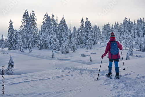 nice and active senior woman hiking with snow shoes in deep powder snow in the Hochhaedrich area of Bregenz Forest in Vorarlberg  Austria 