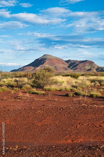 Portrait shot of a beautiful mountain landscape in Karijini National Park, Western Australia. Red-colored soil of the Australian outback in front of a bushland and mountains in the background. 