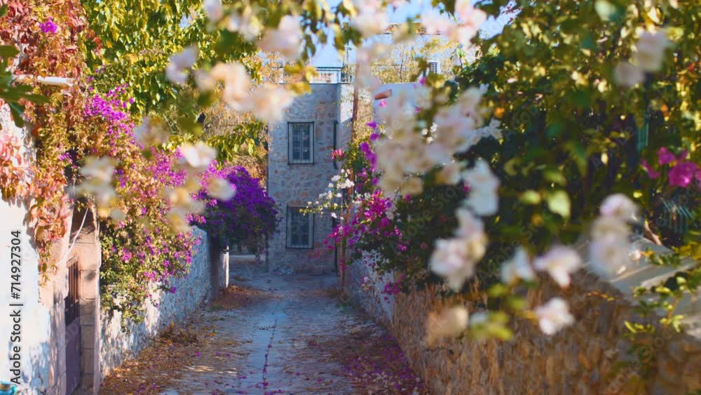 Stone streets of the old town of Datca in Turkey, decorated with bright flowers. bougainvillea flowers