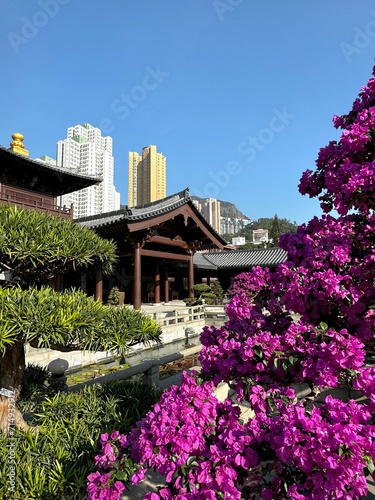 Nan Lian Garden  a truly hidden gem in Diamond Hill area  Kowloon  Hong Kong. A public garden with beautiful trees  bonsai  ponds  pagoda  set as a gateway to Chi Lin.