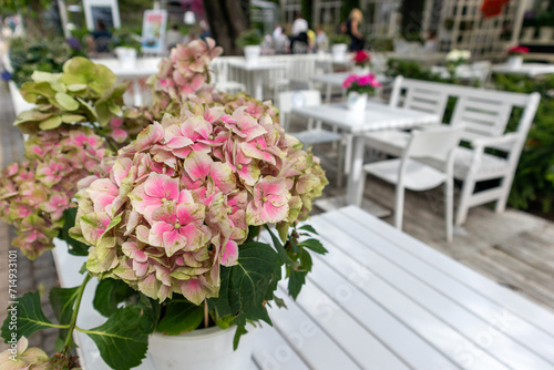  Pink flowers in an outdoor terrace cafe with white tables and chairs © Jorens