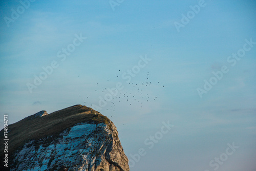 Top of a rocky hill with a cover of grass against the sky and a flock of birds near the mountain while climbing Bobotov Kuk in Montenegro photo