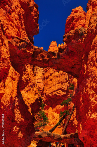 The Two Bridges of the Navajo Loop trail, Bryce Canyon National Park, Utah, Southwest USA.