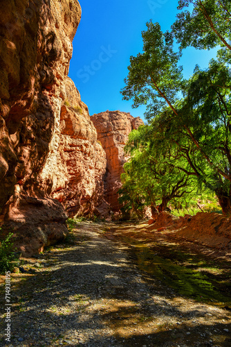 A leafy gorge on the Ruta 40 road to La Poma and the Abra del Acay mountain pass, Salta Province, northwest Argentina.