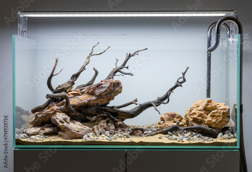 dragon stone and wood aquascape setup in an aquarium tank, design before planting setup