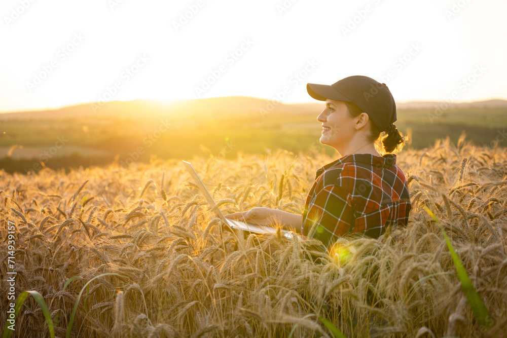 Fototapeta premium Woman farmer working with laptop on wheat field. Smart farming and digital agriculture