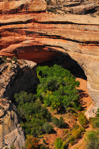 High angle view of Kachina Bridge, Natural Bridges National Monument, Utah, Southwest USA. photo