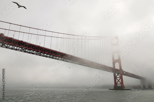 Canvas Print A seagull and a fog-shrouded Golden Gate Bridge, San Francisco, California, USA