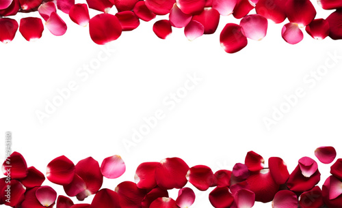 Red Rose Petals on White, A cascade of red rose petals forms an elegant border against a pure white background, ideal for festive or romantic themed designs and decorations.
