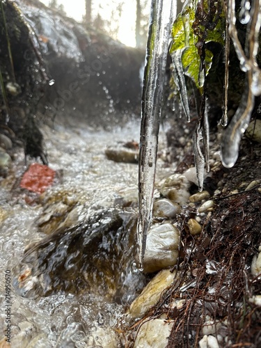 Eiszapfen am Rande eines kleinen Bachbettes 
