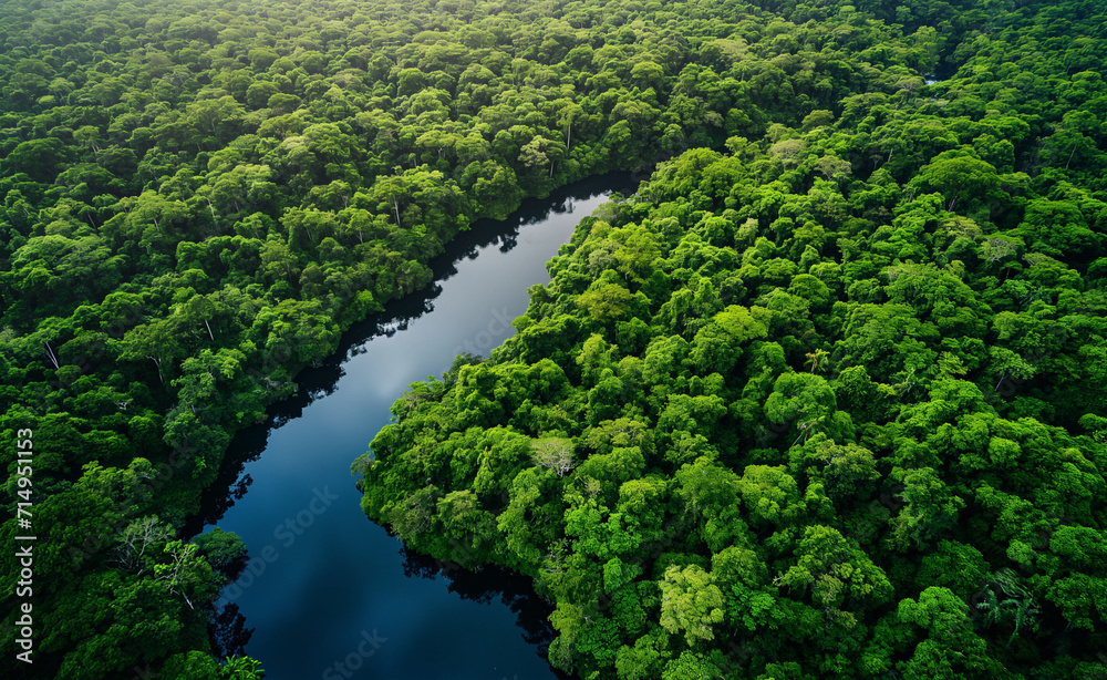 Aerial view of Amazon rainforest in Brazil, South America.