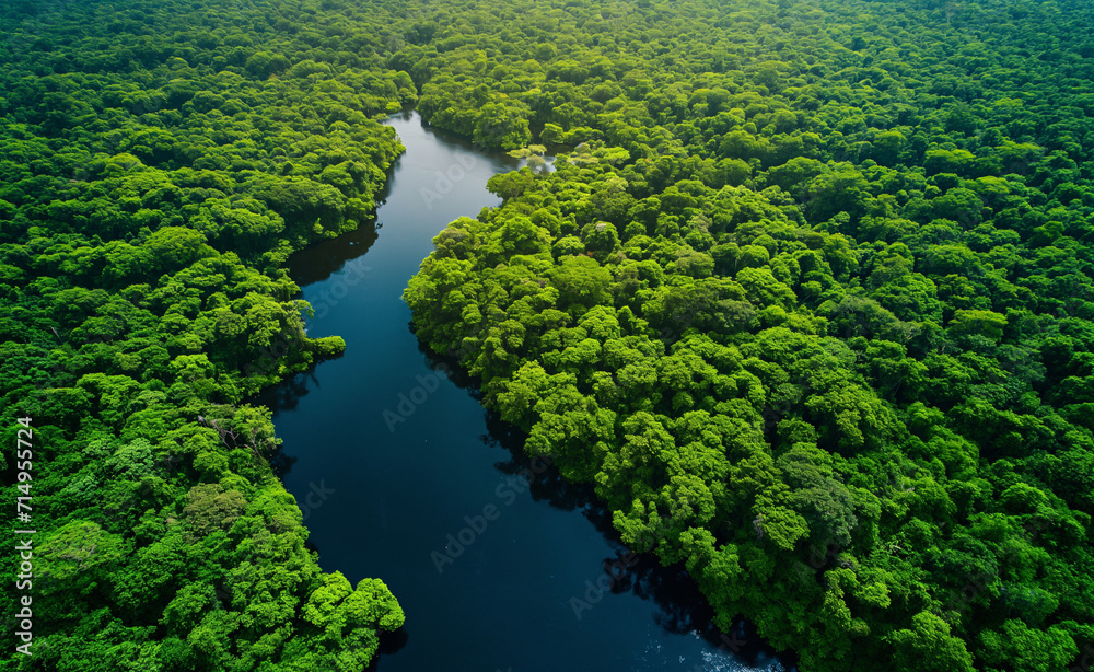 Aerial view of Amazon rainforest in Brazil, South America.