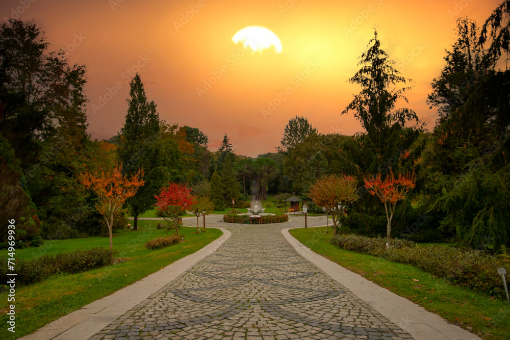 Ataturk Arboretum in Sariyer district of Istanbul Ataturk Arboretum in Sariyer district of Istanbul