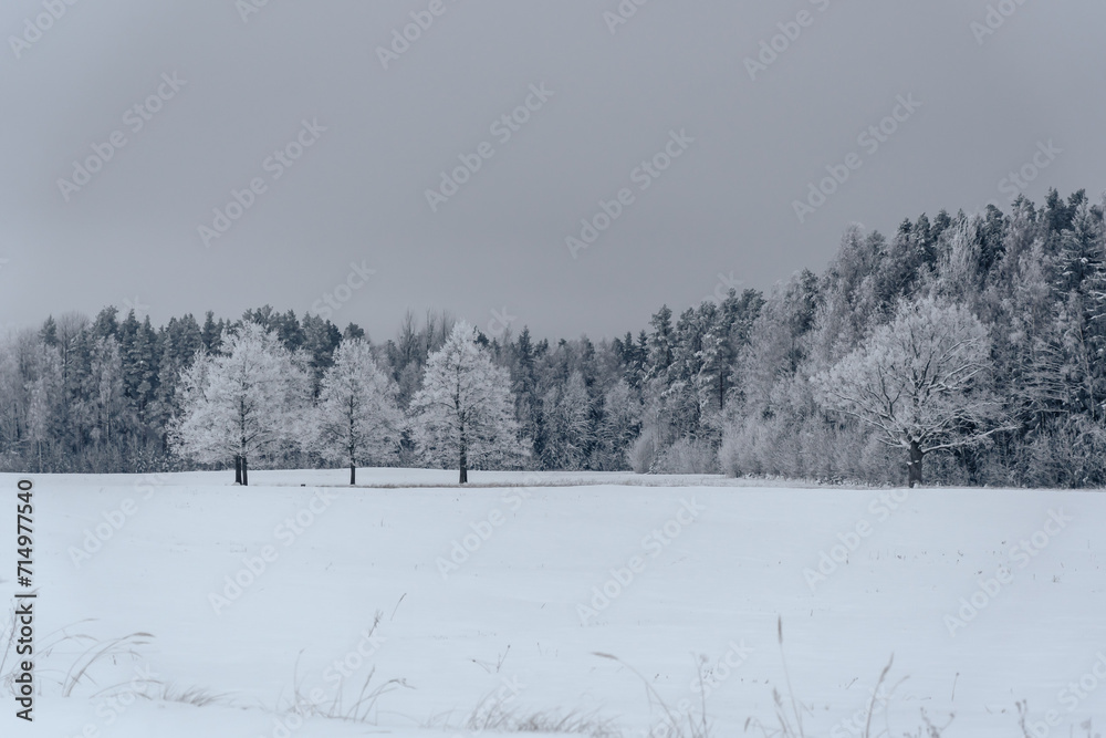 rural landscape with frost-covered and snow-covered trees