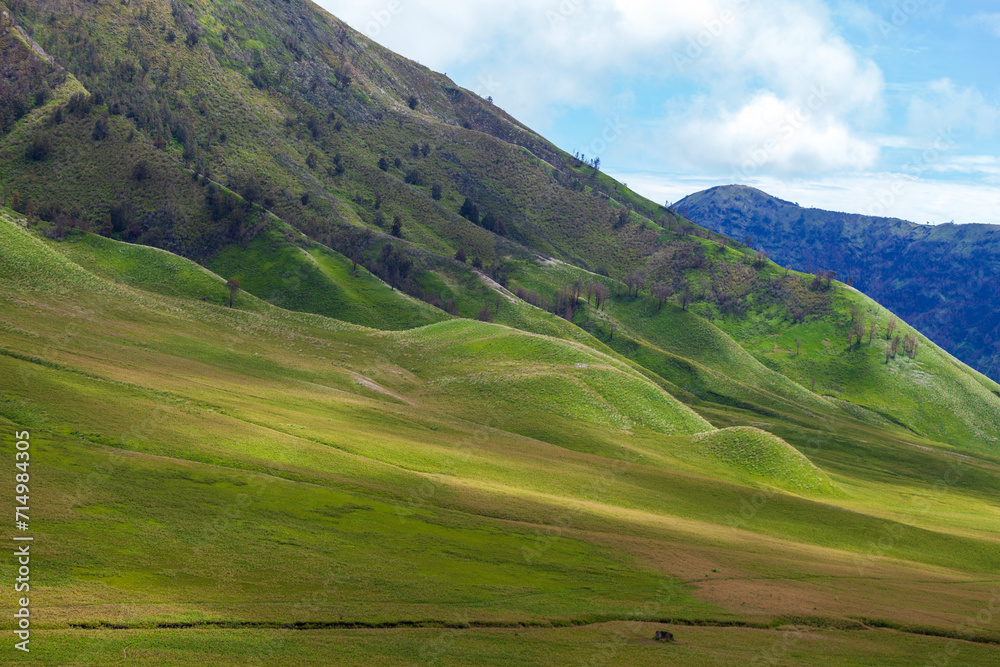 Landscape of green hills in the mountains on a cloudy day. Location of Mount Bromo in Bromo Tengger Semeru National Park, East Java, Indonesia Landscape of green hills in the mountains on a cloudy day. Location of Mount Bromo in Bromo Tengger Semeru National Park, East Java, Indonesia