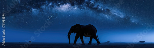 Elephant in the night starry sky. Panoramic image.