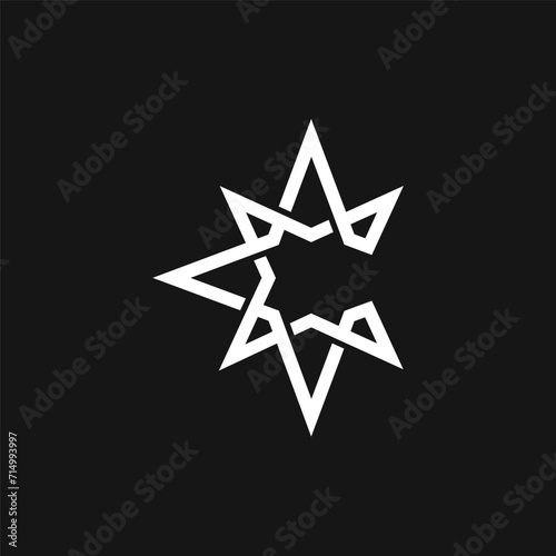 Minimalistic Star Icon Logo