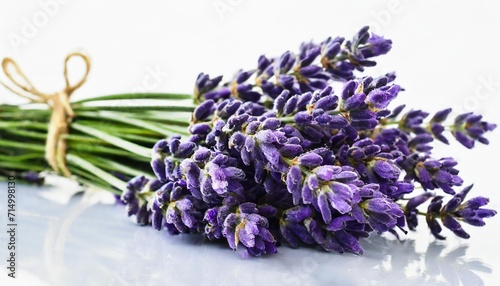 3d rendering of vlavender isolated