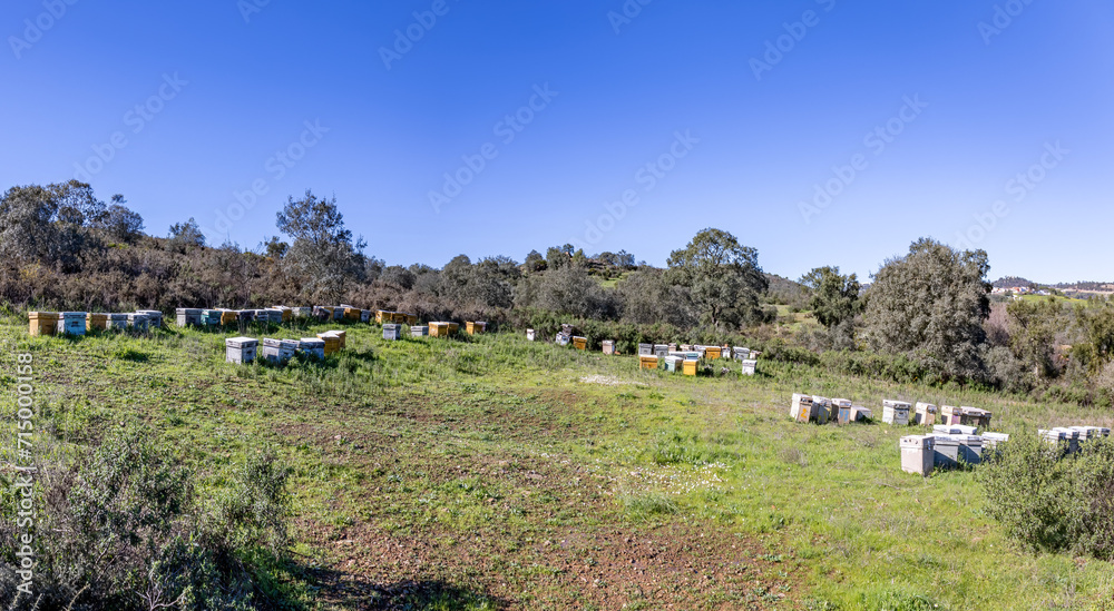Panoramic view of a huge traditional wooden bee hives in huelva mountains for the pollination of plantations and obtaining honey Panoramic view of a huge traditional wooden bee hives in huelva mountains for the pollination of plantations and obtaining honey