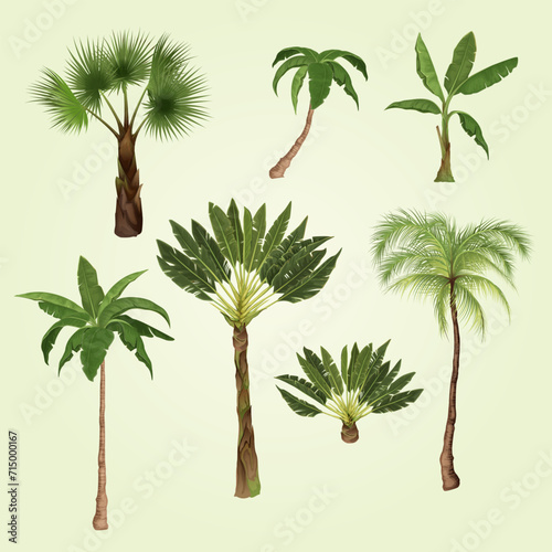 palm tree set with isolated images exotic tropical trees different types blank background vector illustration