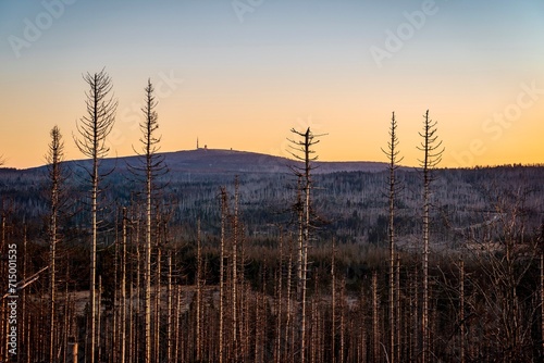 Blick zum Brocken. Baumsterben im Harz. photo