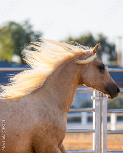 THIS PHOTO IS COPYRIGHT BROOKE FLAGTWET