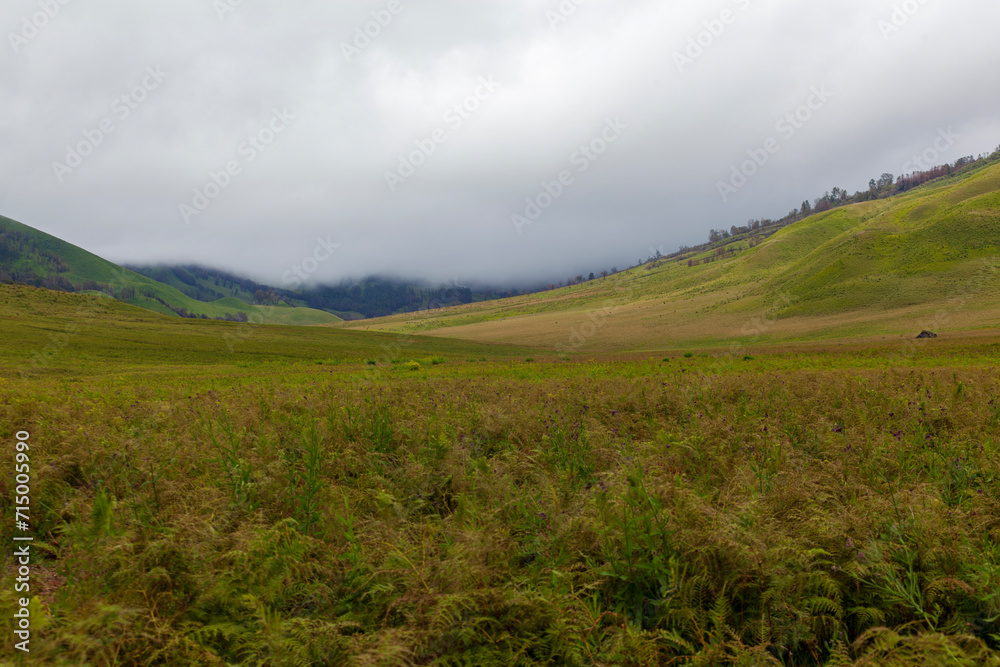 Landscape of green hills in the mountains on a cloudy day. Location of Mount Bromo in Bromo Tengger Semeru National Park, East Java, Indonesia