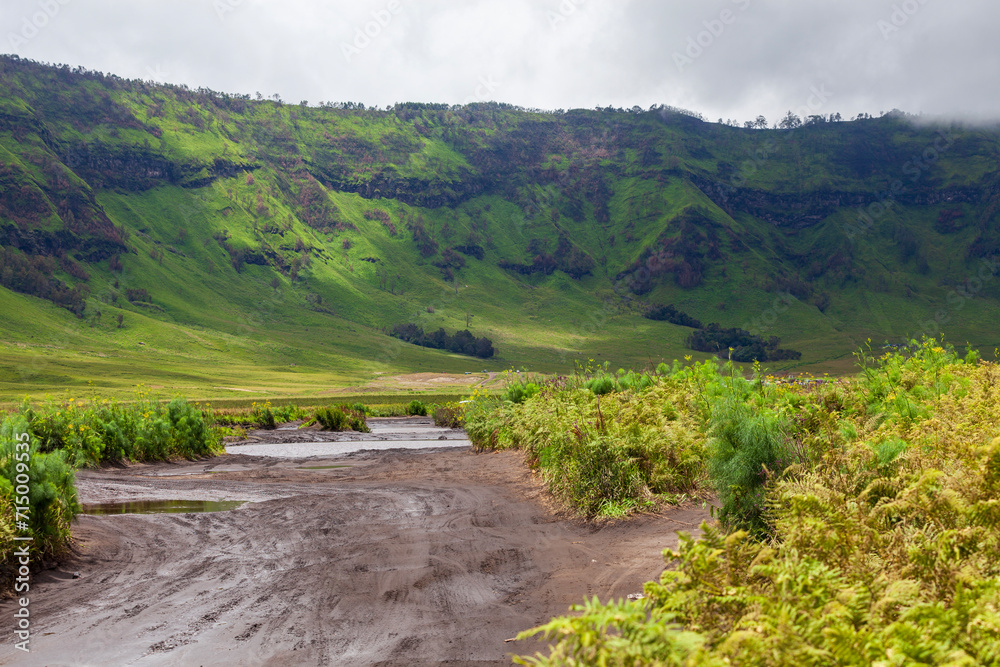 Landscape of green hills in the mountains on a cloudy day. Location of Mount Bromo in Bromo Tengger Semeru National Park, East Java, Indonesia Landscape of green hills in the mountains on a cloudy day. Location of Mount Bromo in Bromo Tengger Semeru National Park, East Java, Indonesia