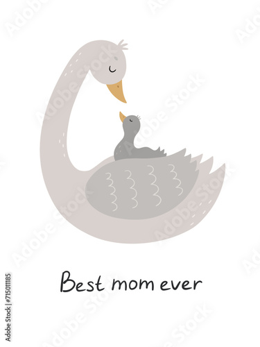Cute cartoon family. Beautiful white swan and nestling. Hand drawn children's poster. Mom and baby. Vector illustration in flat style © Victoria Guzeeva